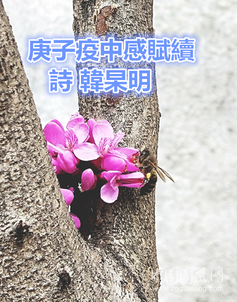圖片1.png