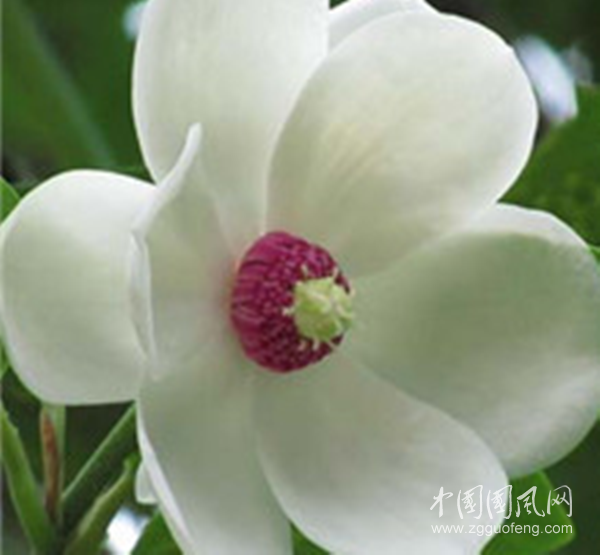 微信圖片_20200317135853_副本.png
