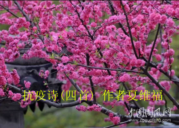 微信圖片_20200320142816_副本.png