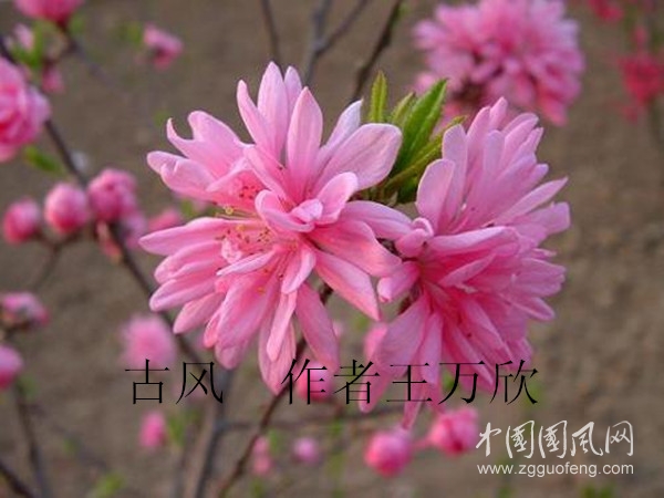 微信圖片_20200407182011_副本.jpg