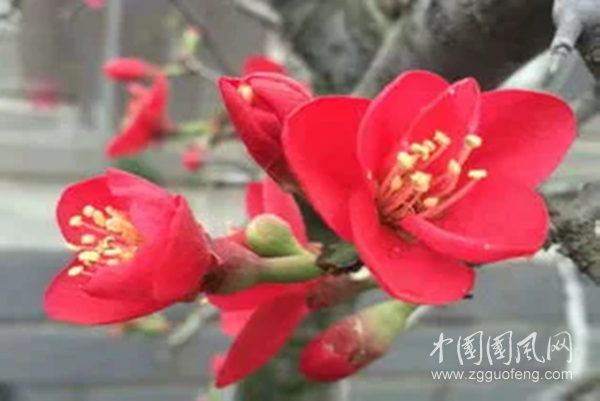 微信圖片_20200408130110_副本.png