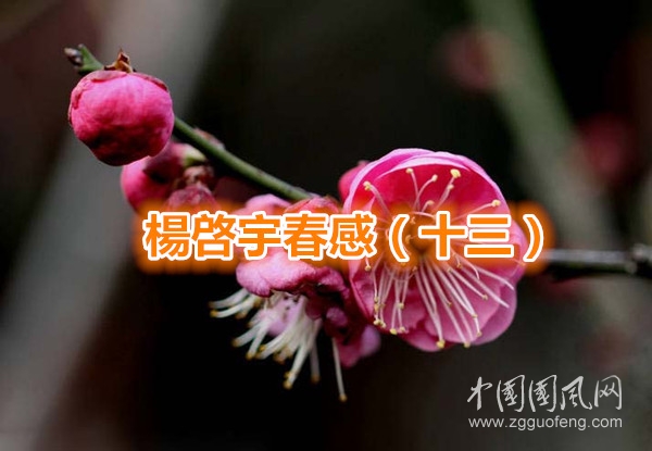 2015-08-22_112047_副本.jpg
