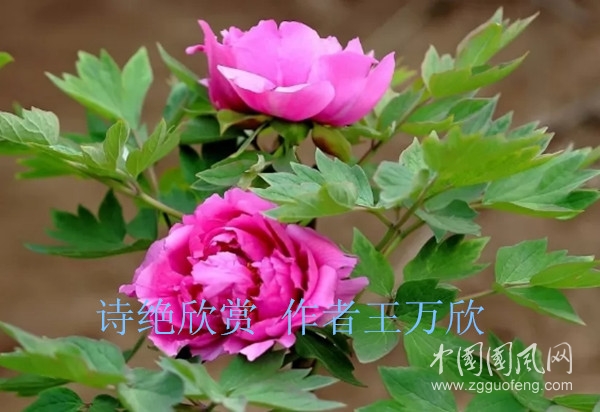 微信圖片_20200414133216_副本.jpg