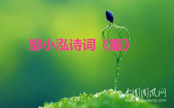 timg (1)_副本_副本.jpg