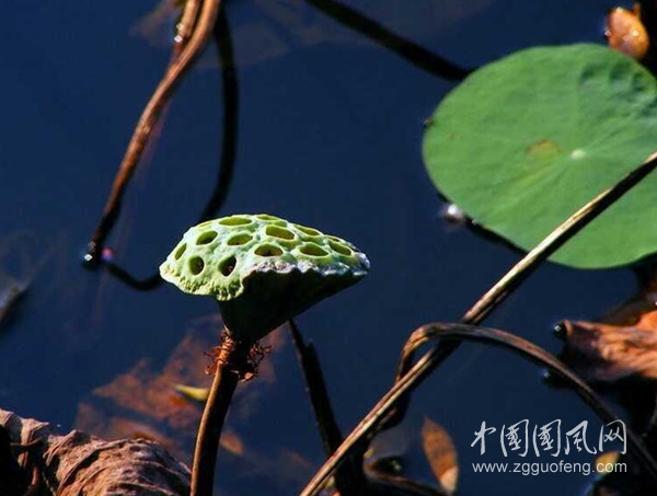 QQ圖片20200912132450_副本.jpg