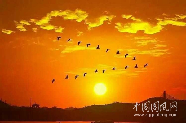 QQ圖片20200912150722_副本.jpg