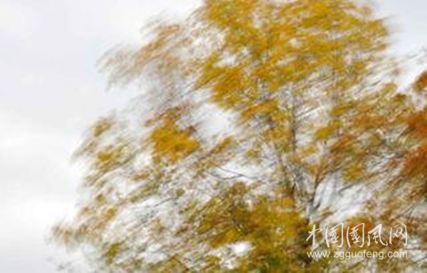 QQ圖片20200912132546_副本.jpg