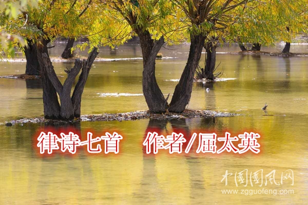 微信圖片_20200916153603_副本.jpg