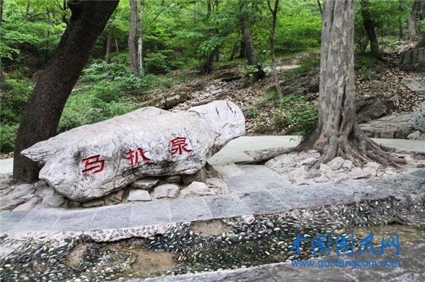 馬.jpg