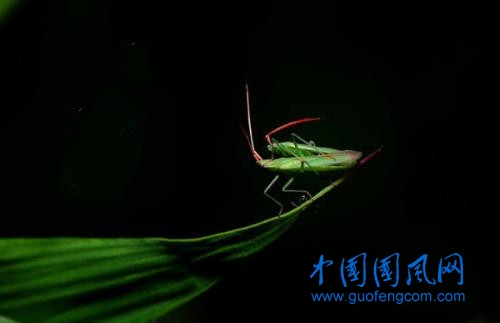 u=2170918236,2838563619&fm=26&gp=0.jpg