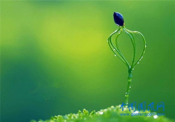 src=http___s5.sinaimg.cn_mw690_001P35CXzy7hVL7Fz9ye4&690&refer=http___s5.sinaimg.jpg