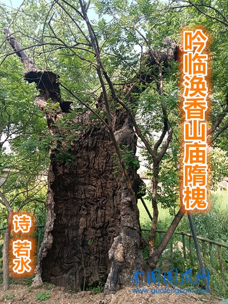 微信圖片_20220424232804.jpg