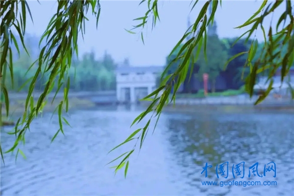夏風.webp.jpg