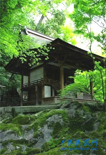 02.jpg