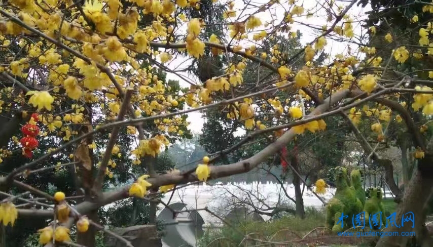 微信圖片_20221223102520.jpg