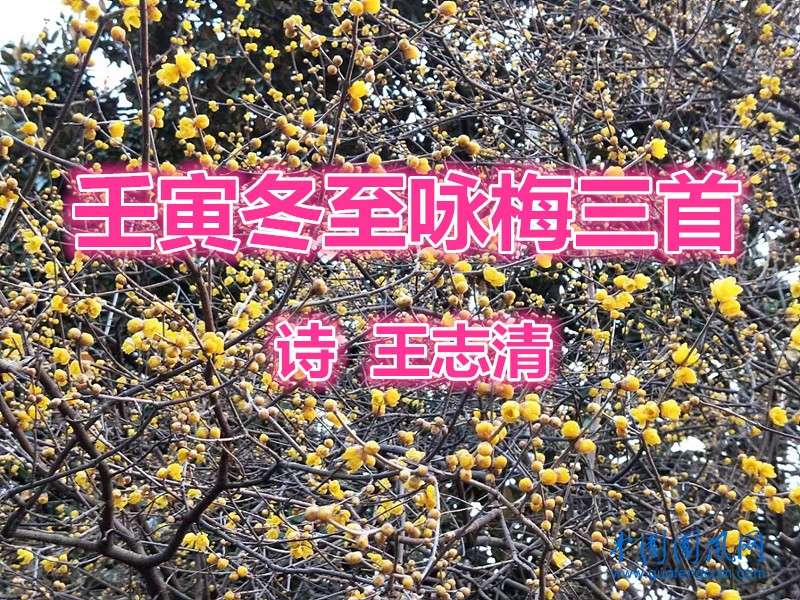 微信圖片_20221223102457.jpg