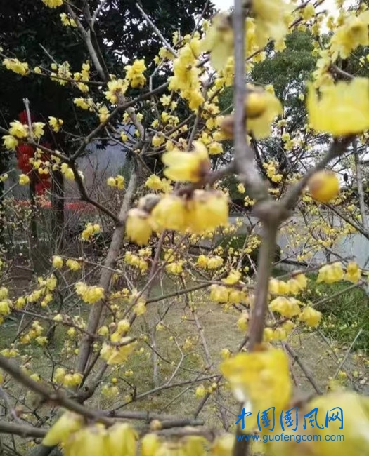 微信圖片_20221223102524.jpg