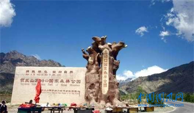 蘇峪口國家森林公園.jpg