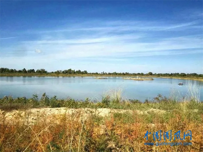 鹽池哈巴湖草地.webp.jpg