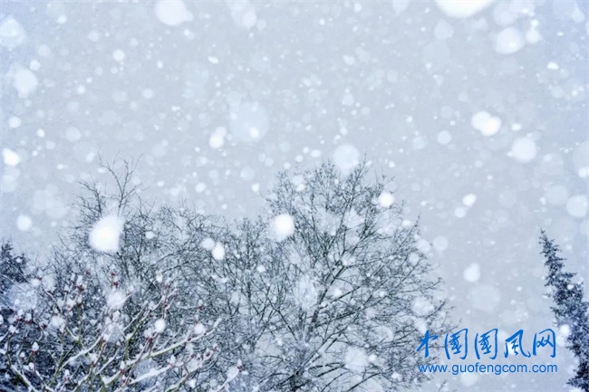 雪.jpg