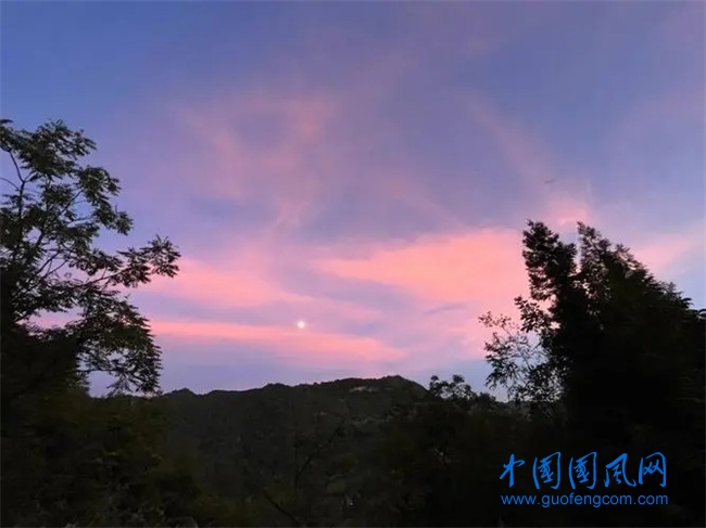 霞.webp.jpg