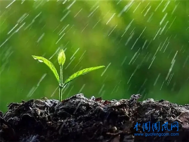 雨.webp.jpg