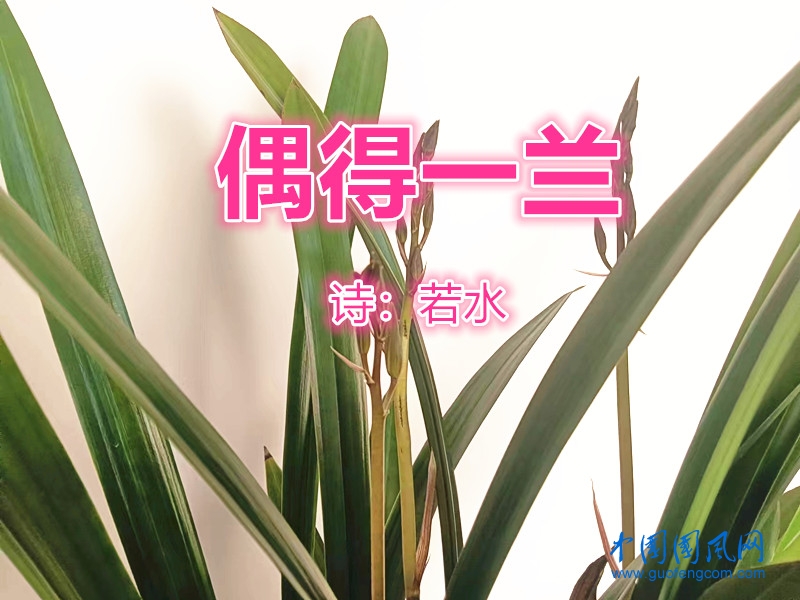 9ab040ad4b241ef0bfc076738ba0c5b_副本.jpg