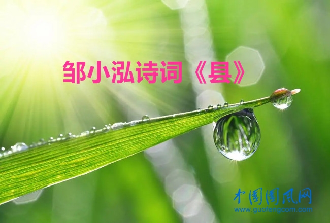 露.webp_副本.jpg