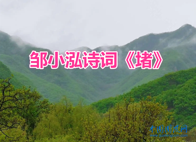 57.webp.png