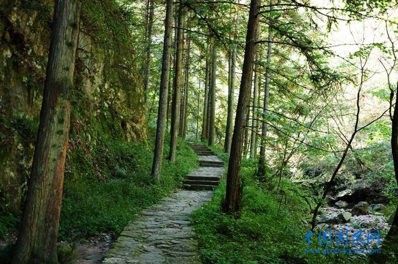 萬(wàn)佛山.jpg