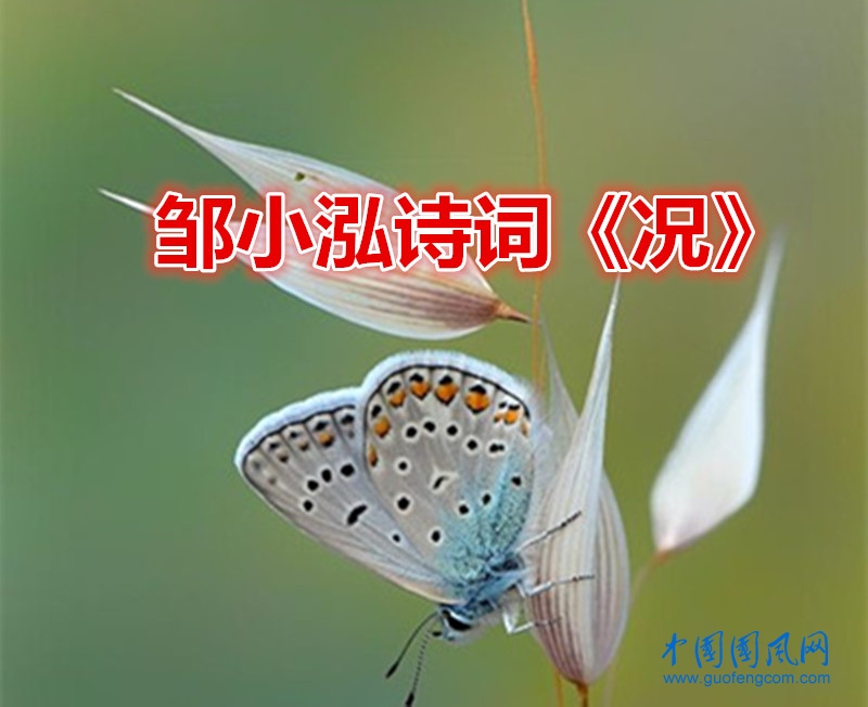 鄒小泓詩詞《況》.jpg