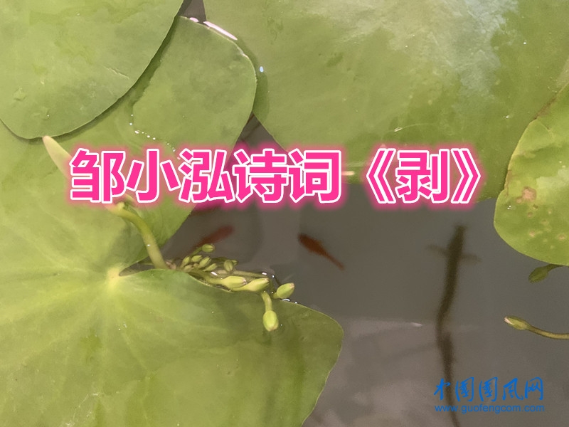084f0b3ef2ba348dc4648e9cd8ec2eb_副本.jpg