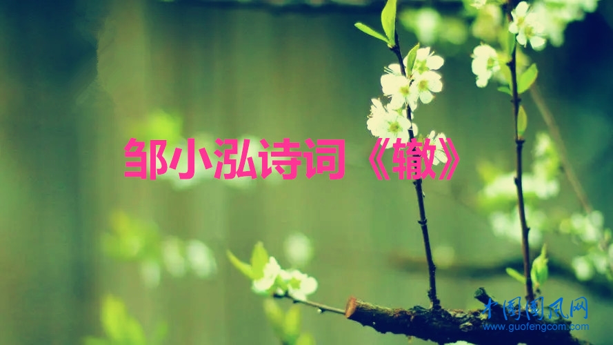 chun3.webp_副本.jpg