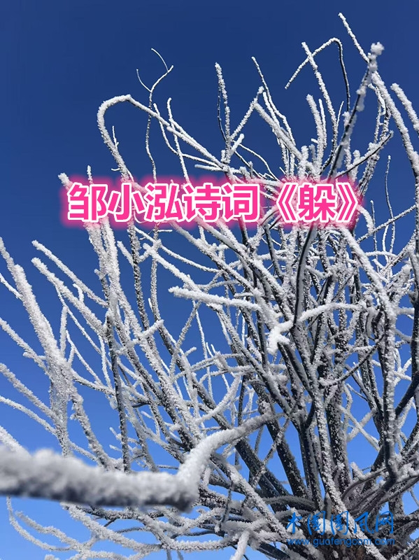 a7cd744c1775596dea906557deb4c35d.jpg