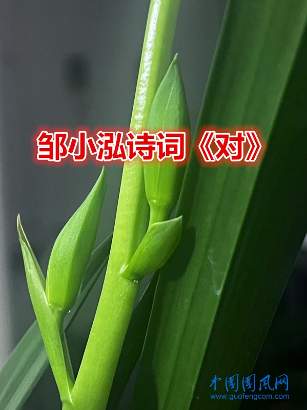 25bc901b3137c817ee058d1ba12fa579_副本.jpg