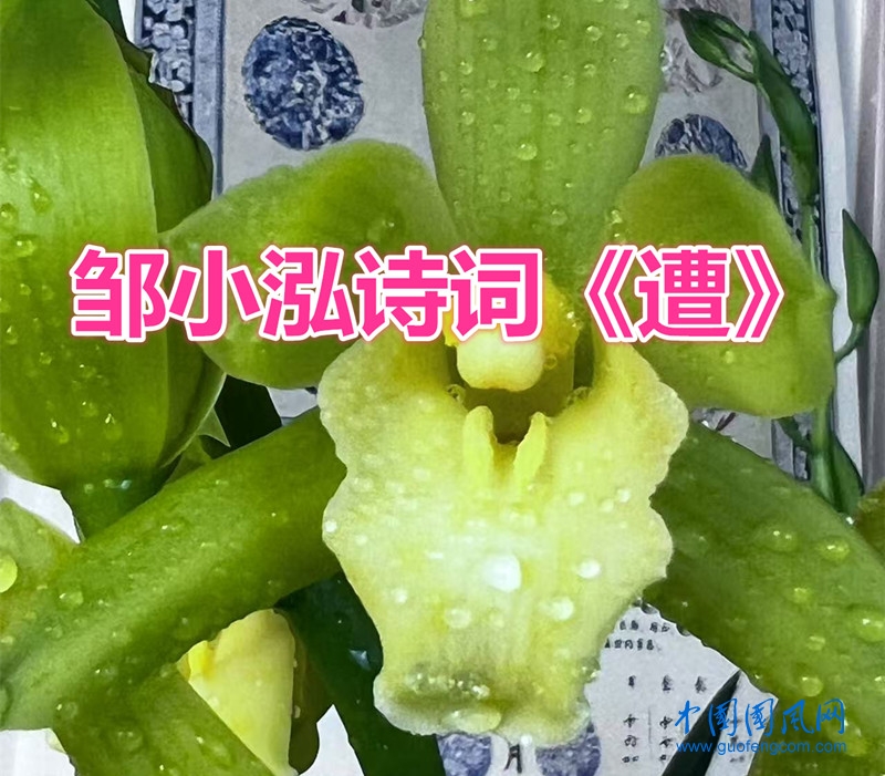 0d79e1708f4bf38d8b90f0a131aaafc7_副本.jpg
