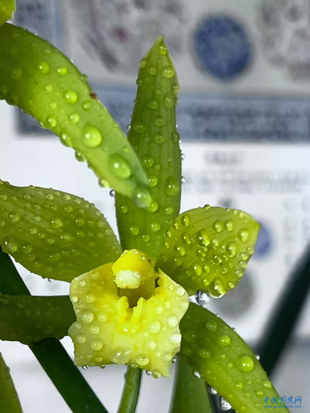 13a3b22ceb4ef0856c6e4f6a27495760.jpg