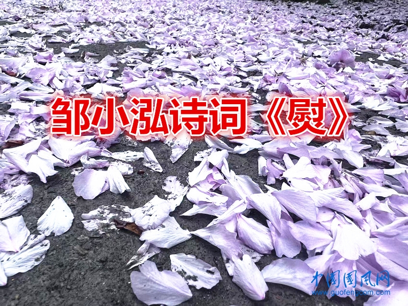 82b1640c186dbad64f89f4cd858afb45_副本.jpg