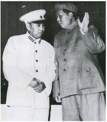 九大許世友為誰向毛澤東叫屈