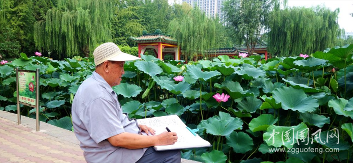 老人與荷