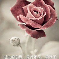 逝去的東西，最好不見，最好不念