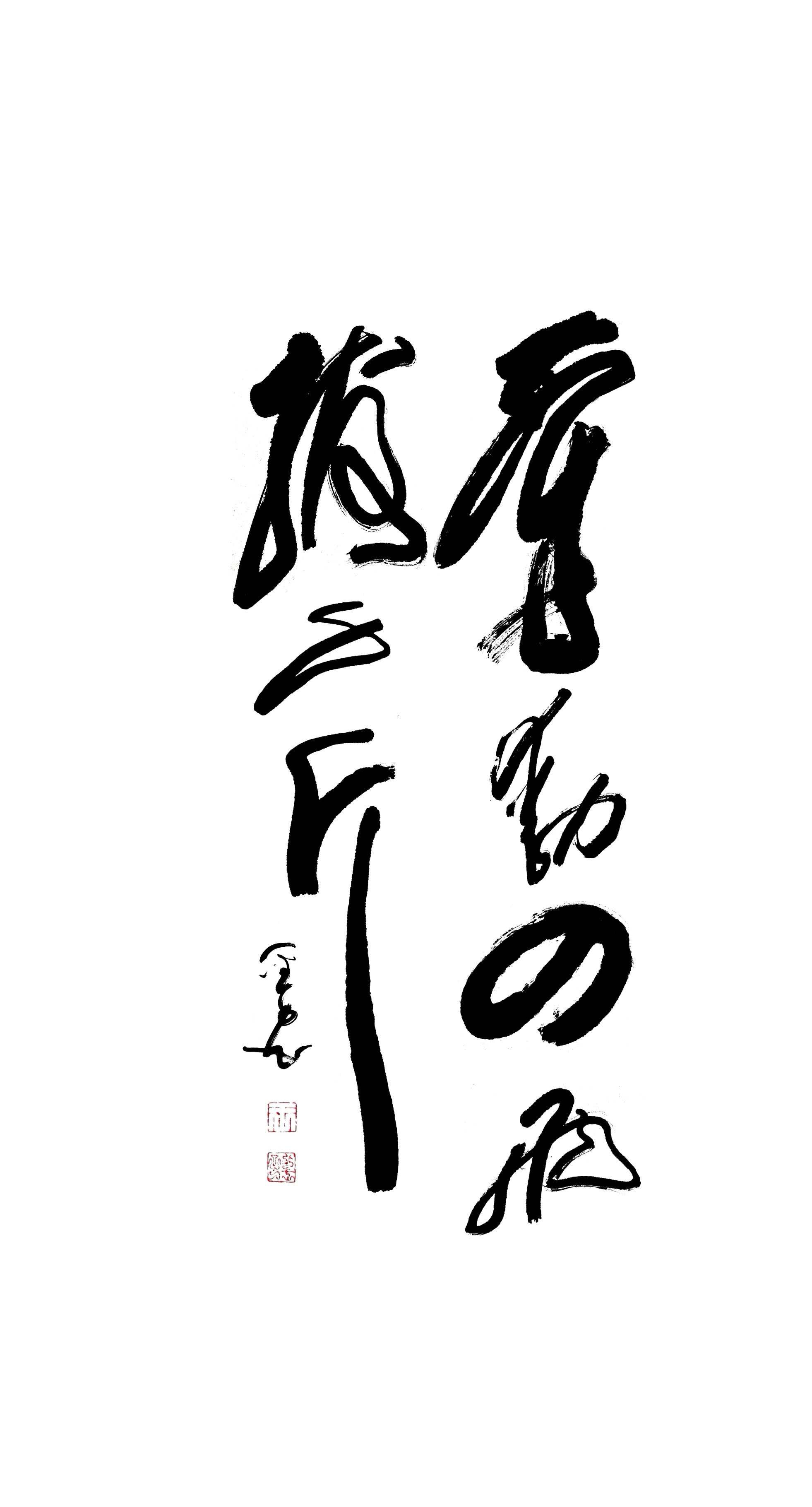 MEITU_20250104_144441243_edit_380334940208110.jpg