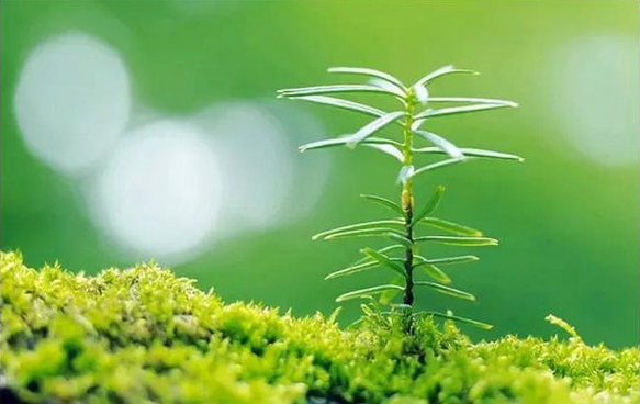 樂里清風(fēng) 悸動紅顏