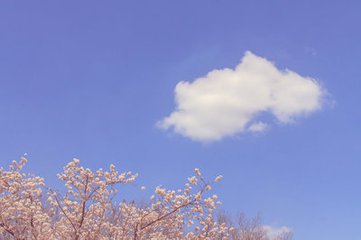 寂靜
