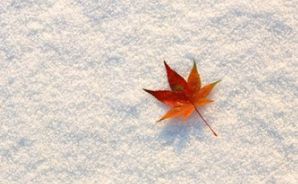 在時(shí)光里白頭，許下風(fēng)中的承諾