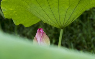 人在落魄時(shí)才知道誰(shuí)的手最暖
