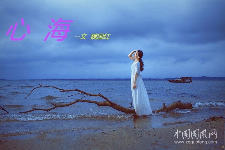  心海（文  魏國紅）