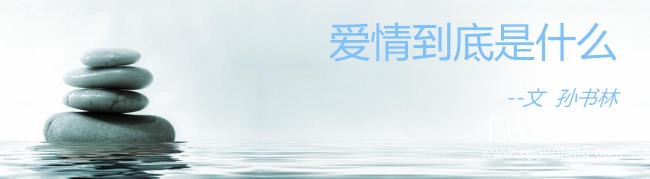 愛(ài)情到底是什么（文  孫書(shū)林）