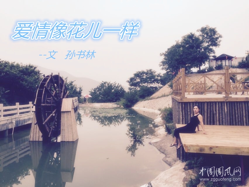  愛情像花兒一樣   （文  孫書林）