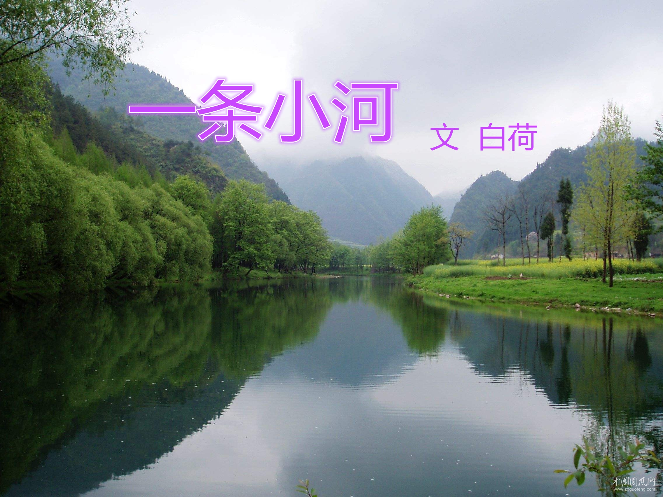 一條小河（文  白荷）
